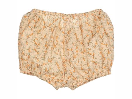 Serendipity Sandthorn Baby Bloomers Fashion