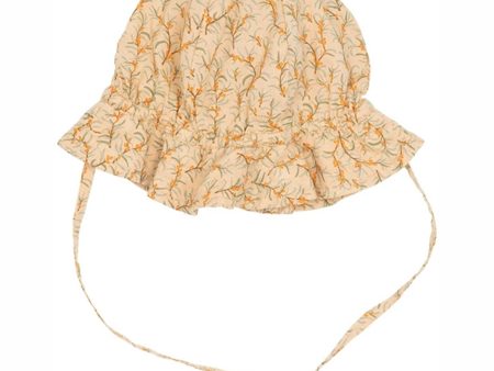 Serendipity Sandthorn Solhat Online Sale