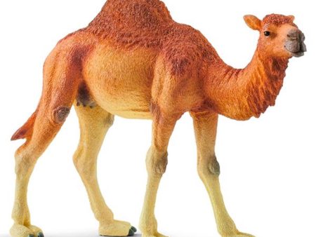 schleich® Wild Life Dromedar For Sale