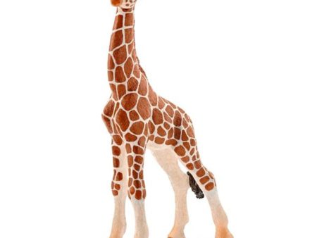 schleich® Wild Life Giraf Kalv Online Sale