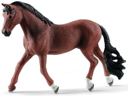 schleich® Horse Club Trakehner Vallak For Sale