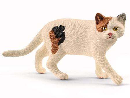 schleich® Farm World Amerikansk Korthåret Kat on Sale