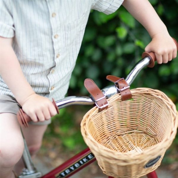 Trybike in Steel Basket for Bike Online Sale