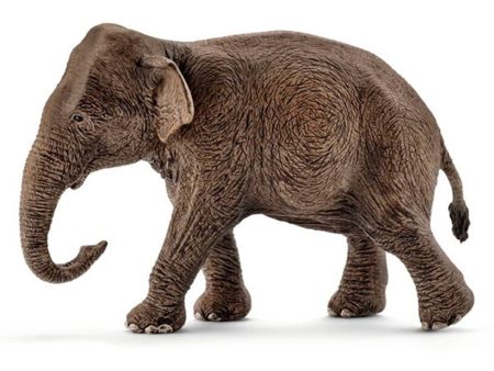 schleich® Wild Life Asiatisk Elefant Hun For Discount