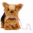 Our Generation Hund - Yorkshire Terrier Online now