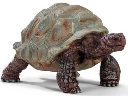 schleich® Wild Life Skildpadde Supply