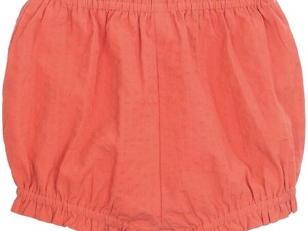 Serendipity Papaya Baby Bloomers Hot on Sale