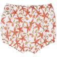 Serendipity Clematis Baby Bloomers Online Hot Sale