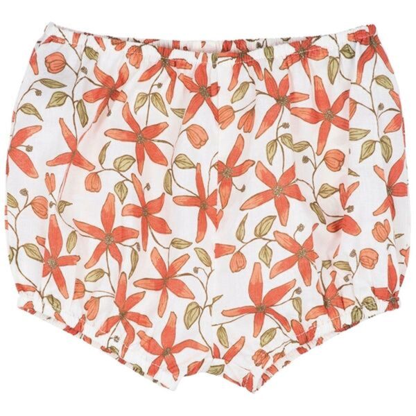 Serendipity Clematis Baby Bloomers Online Hot Sale