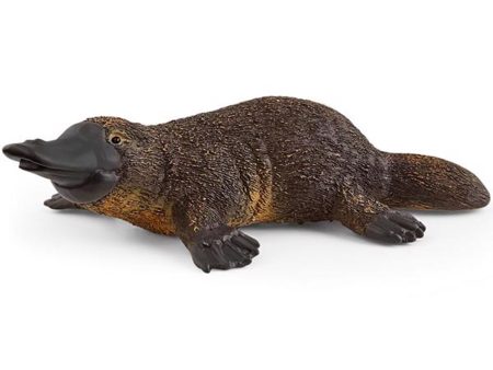 schleich® Wild Life Næbdyr Online Hot Sale