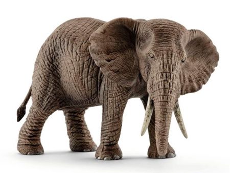 schleich® Wild Life Afrikansk Elefant Hun Supply