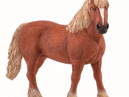 schleich® Farm World Belgisk Trækhest Online