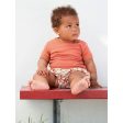 Serendipity Clematis Baby Bloomers Online Hot Sale