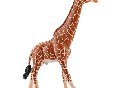 schleich® Wild Life Giraf Han Online Hot Sale