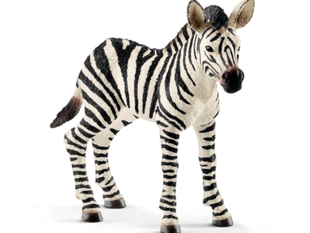 schleich® Wild Life Zebra Føl For Sale