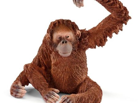 schleich® Wild Life Orangutang Hun Online Hot Sale